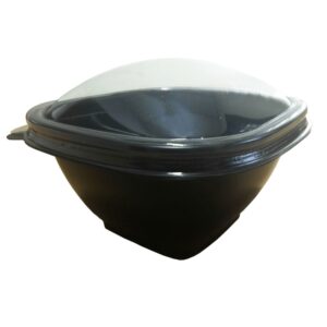 POTE GOHAN SUSHI TODAY COM 100UN